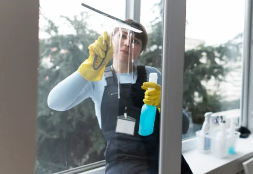 Nettoyage de vitres intérieures et extérieures à Mirebeau